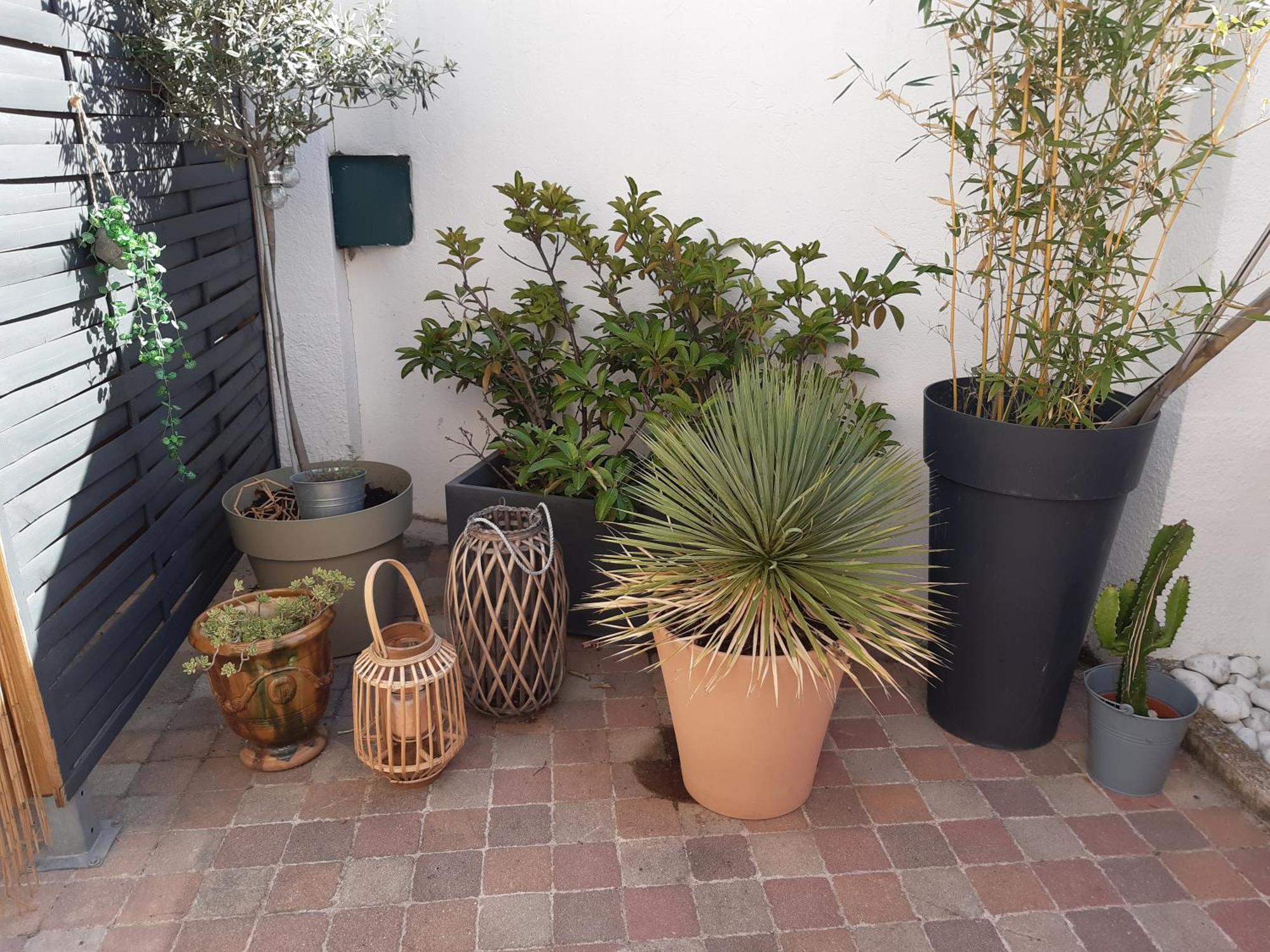Grand Studio Avec Patio Marseille Exterior photo